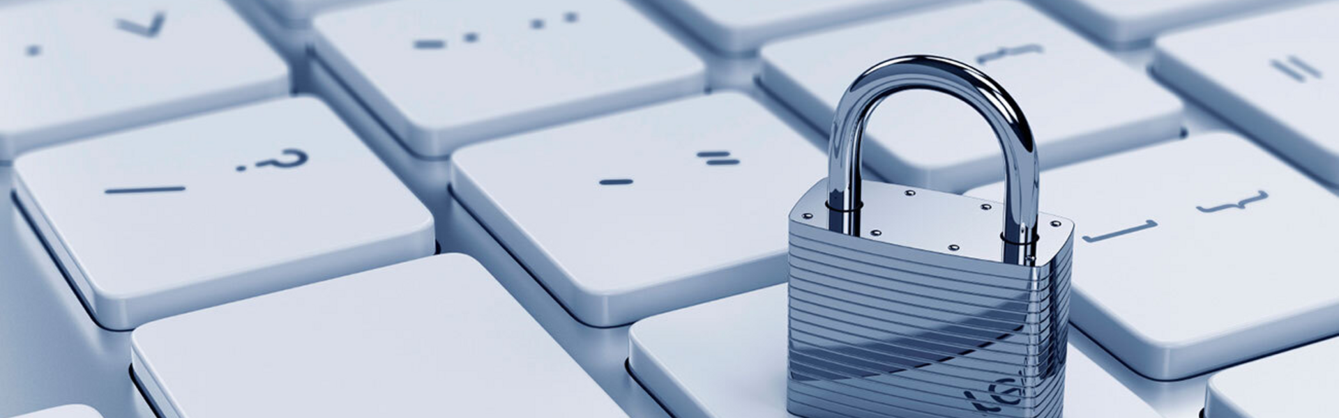 Privacy Statement  (AVG)